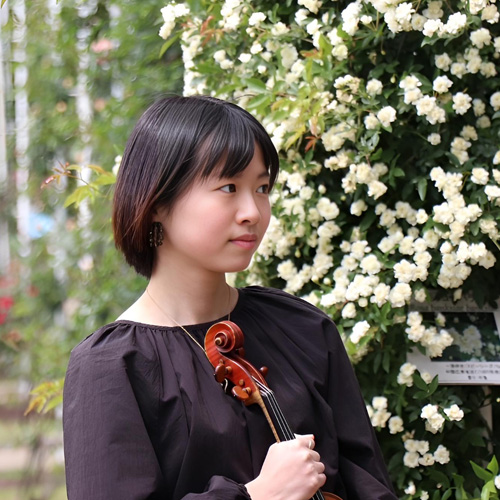 Violin 清水麗楽